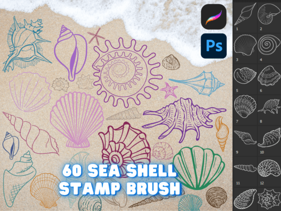 Unlocking Oceanic Artistry with the Procreate Photoshop Seashell Brush Collection
